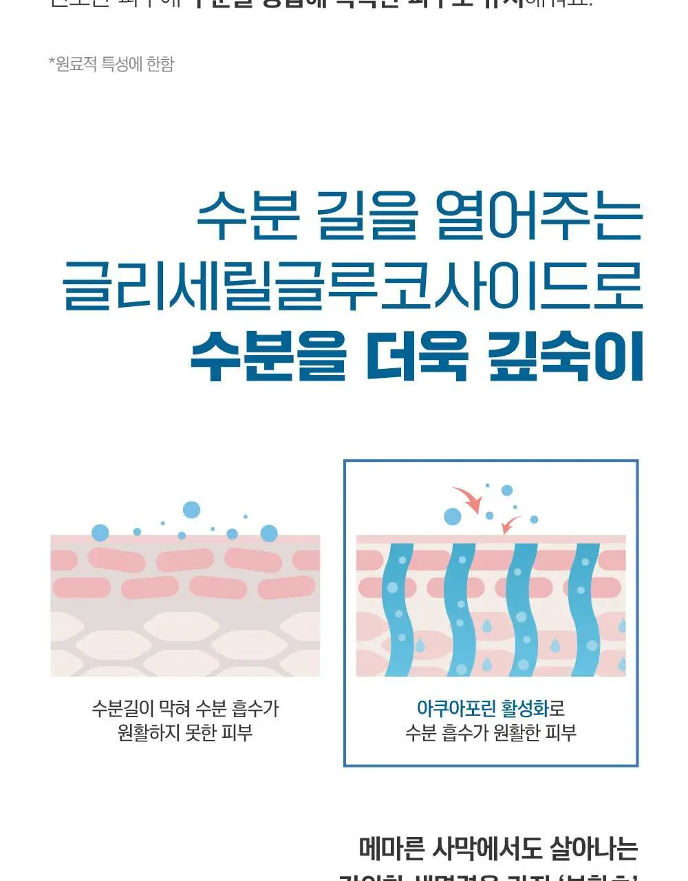 [수분쿨링] 라운드랩 자작나무 수분 선쿠션 15g 상세페이지 5